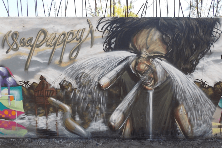 Graffiti mural by Sea Puppy