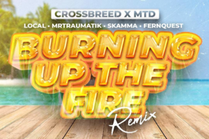 Burning Up The Fire (Remix) - Mr Traumatic - cover pic