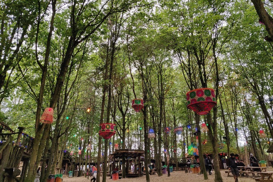 The forests of Boomtown