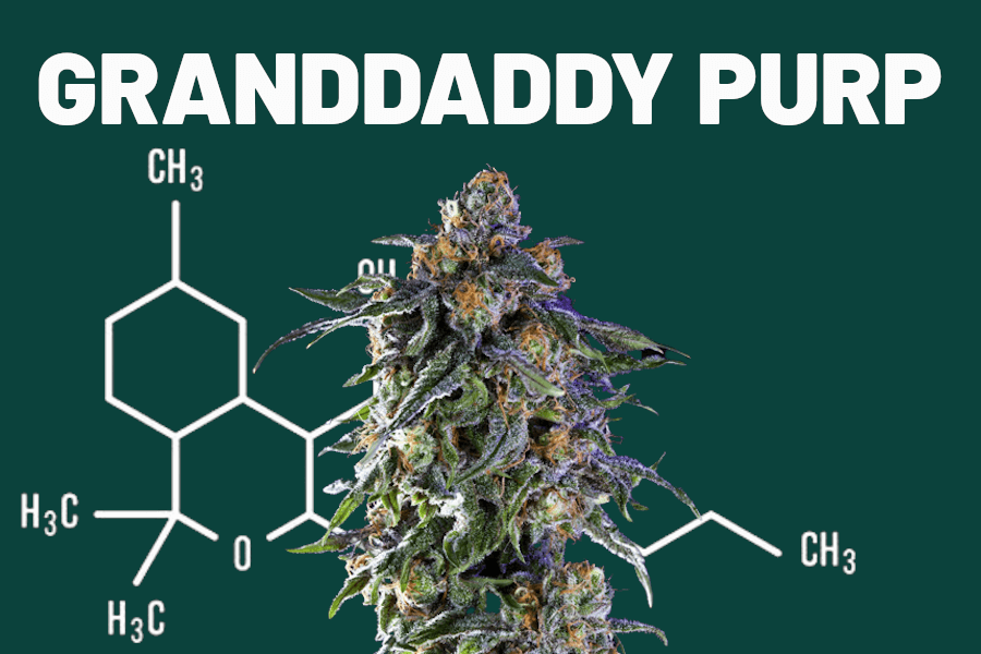 Granddaddy Purp