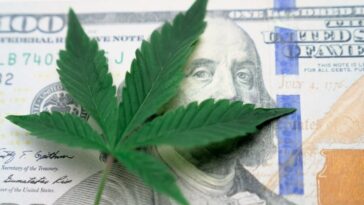 cannabis industry jobs