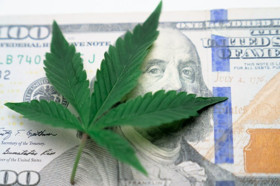 The lucrative cannabis industry
