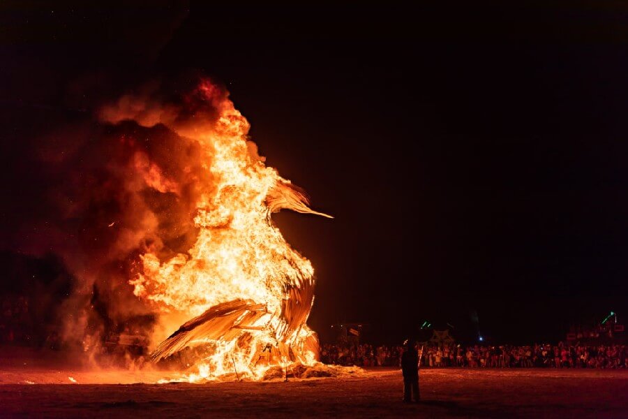 Blazing Swan, Western Australia