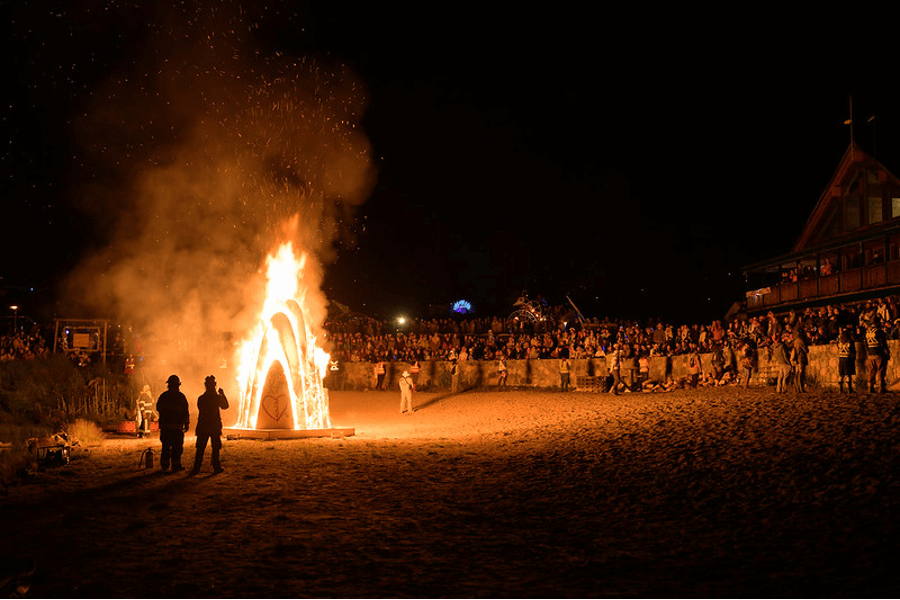 Burn in the Forest, Canada by Luke Szczepanski