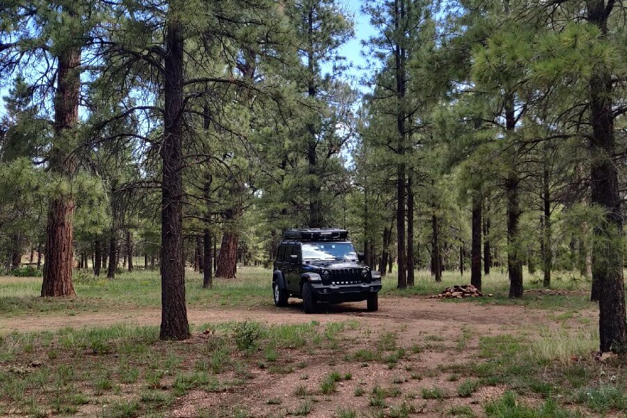 Kaibab National Forest campsite