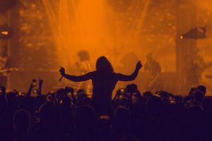 GigFinesse for artists