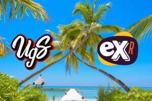 underground sound and exotica radio logos over crossing palm tress