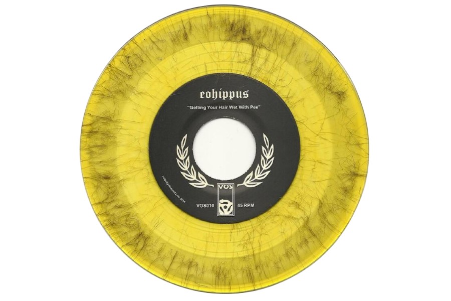 A very unusual vinyl record made of piss and hair