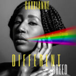 Different Breed album cover