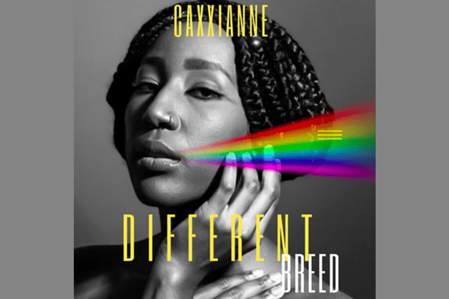 Different Breed album cover