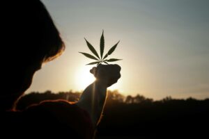 man holding a marijuana leaf to the sun