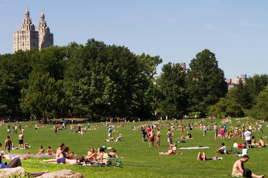 Central Park NYC