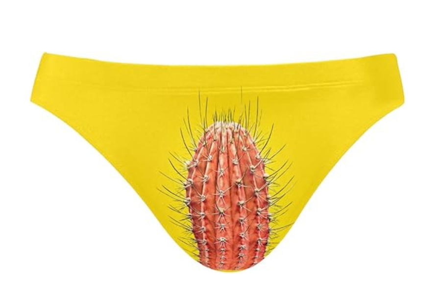 cacti speedo