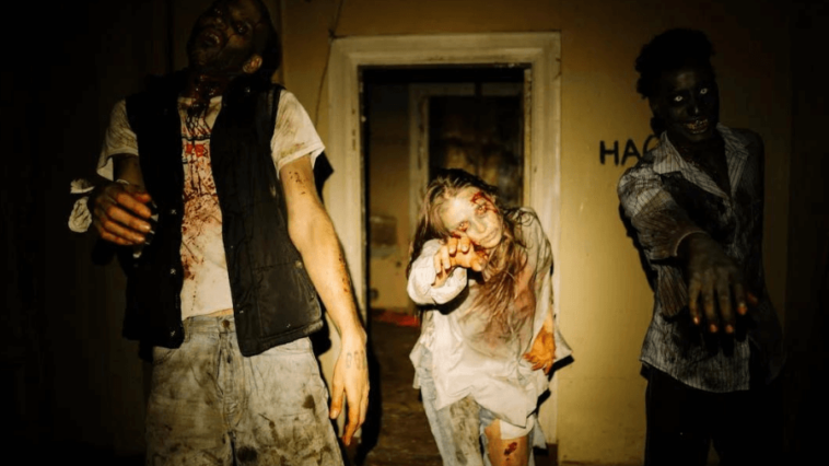 Zombie survival tips from the experts. Image courtesy of cottonbro studio via Pexels