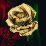 The Findom Lifestyle image credits Maria Vlasova (background) & WikimediaImages (rose) via Unsplash & Pixabay